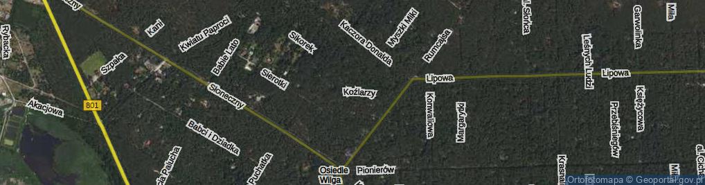 Zdjęcie satelitarne Koźlarzy ul.